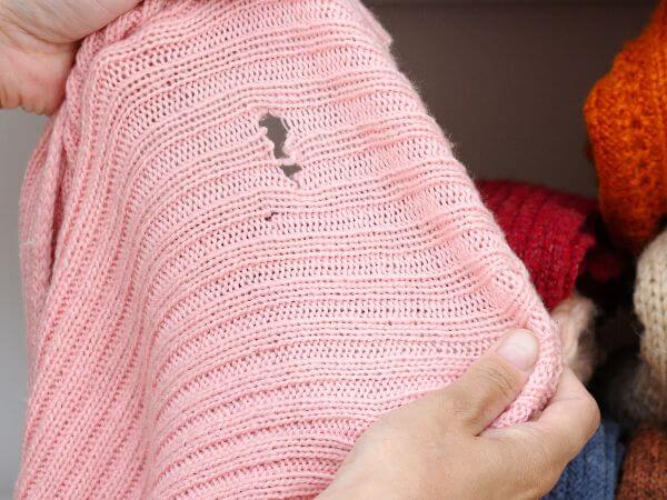 maglione rosa bucato a causa dei tarli della lana